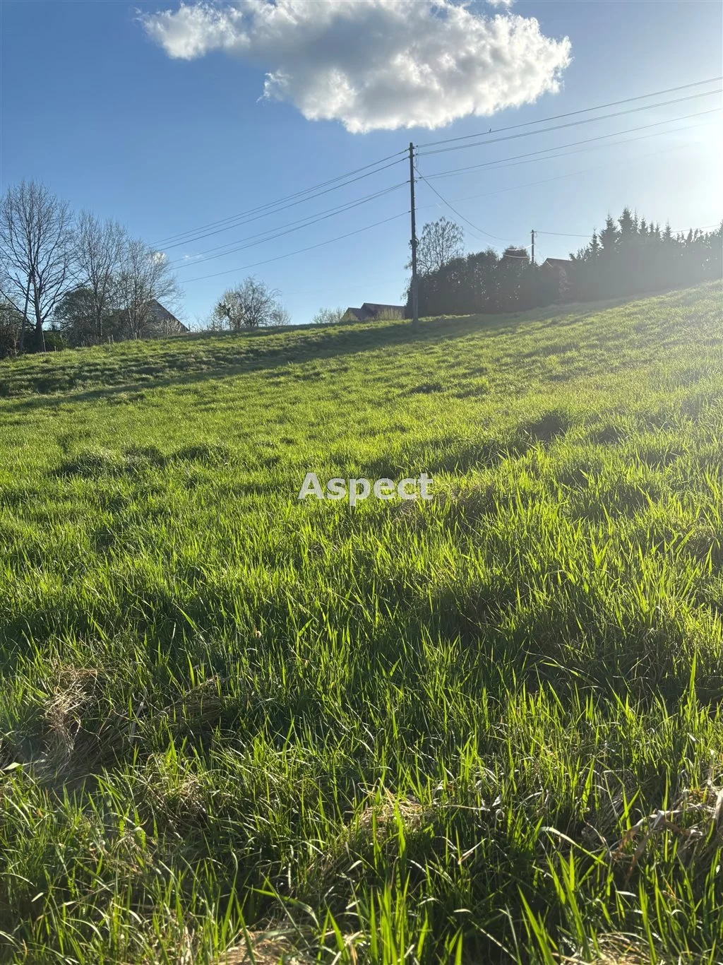 Działka 2 400,00 m², oferta nr , ASJ-GS-50490, Jastrzębie-Zdrój
