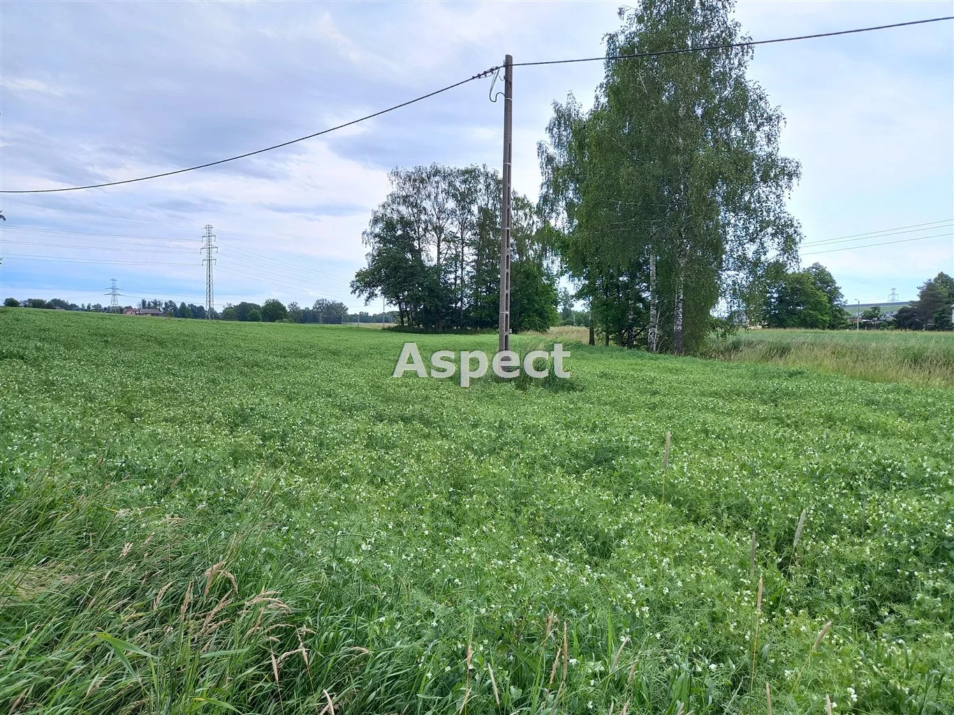 ASP-GS-50684 - zdjęcie nr 0