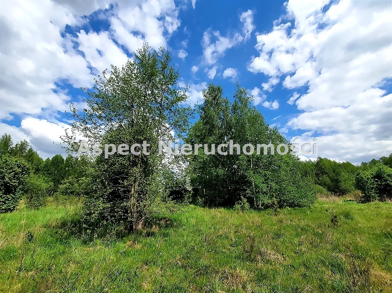 ASM-GS-50668 - zdjęcie nr 0