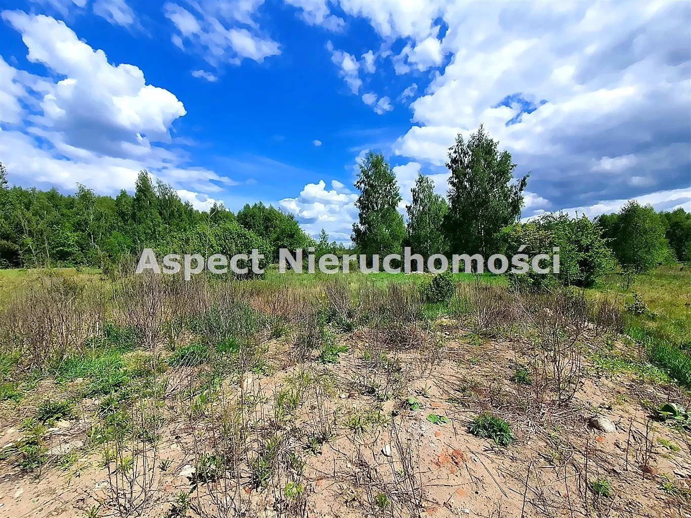ASM-GS-50668 - zdjęcie nr 2