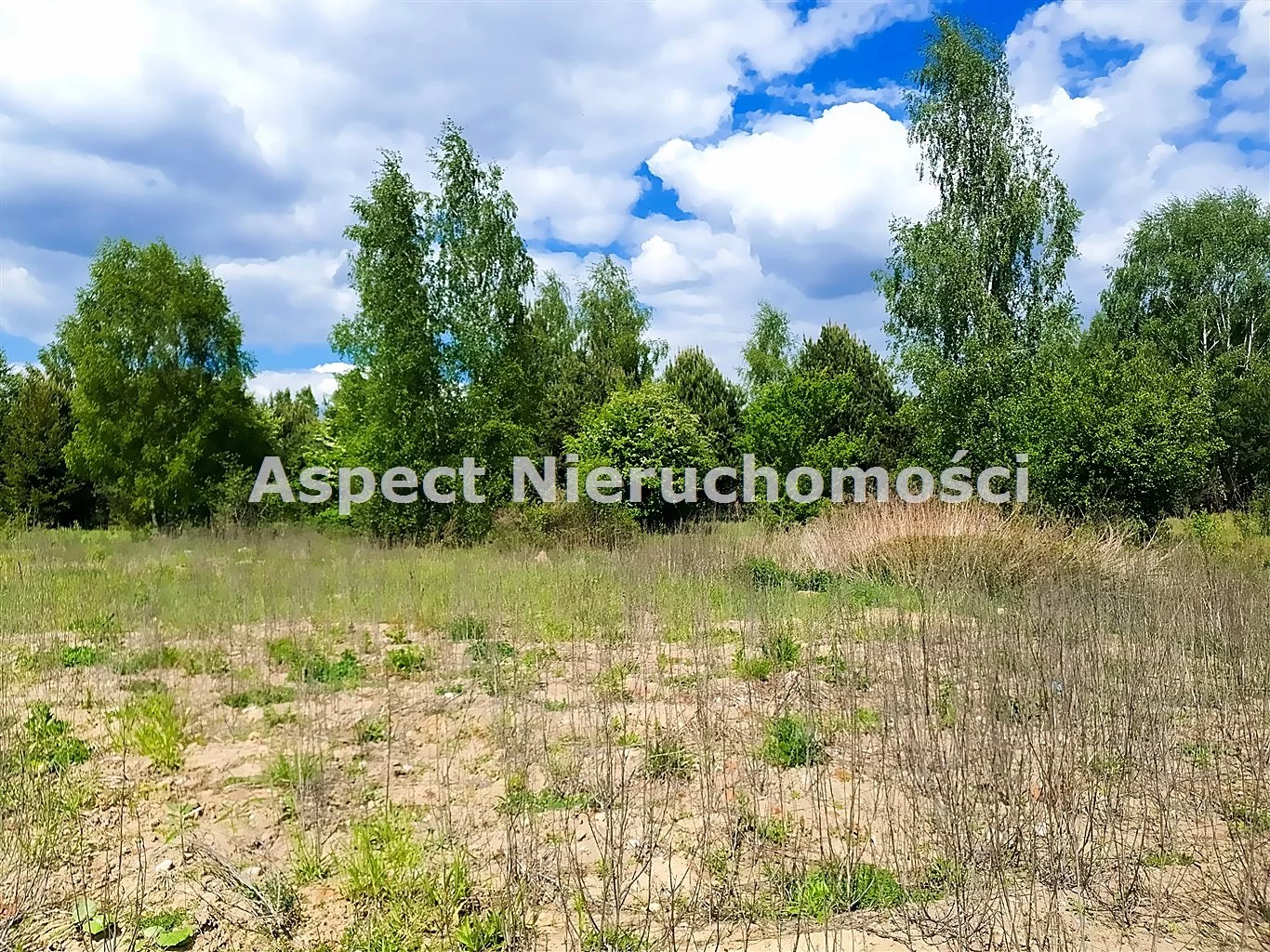 ASM-GS-50668 - zdjęcie nr 4