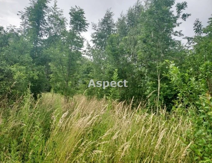 APO-GS-50638 - zdjęcie nr 3