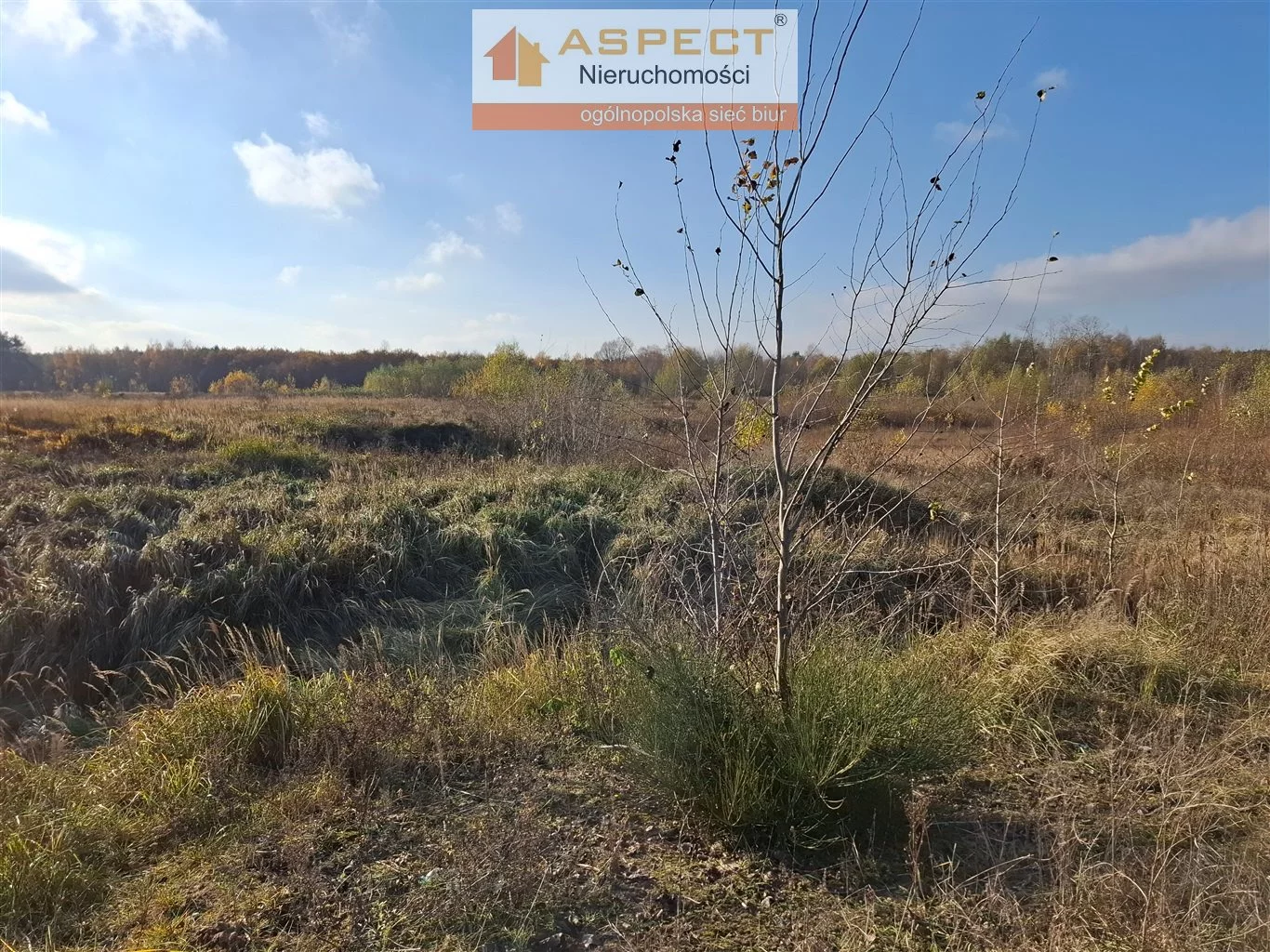 Działka 125 500,00 m², oferta nr , ASK-GS-49733, Krzyżanów