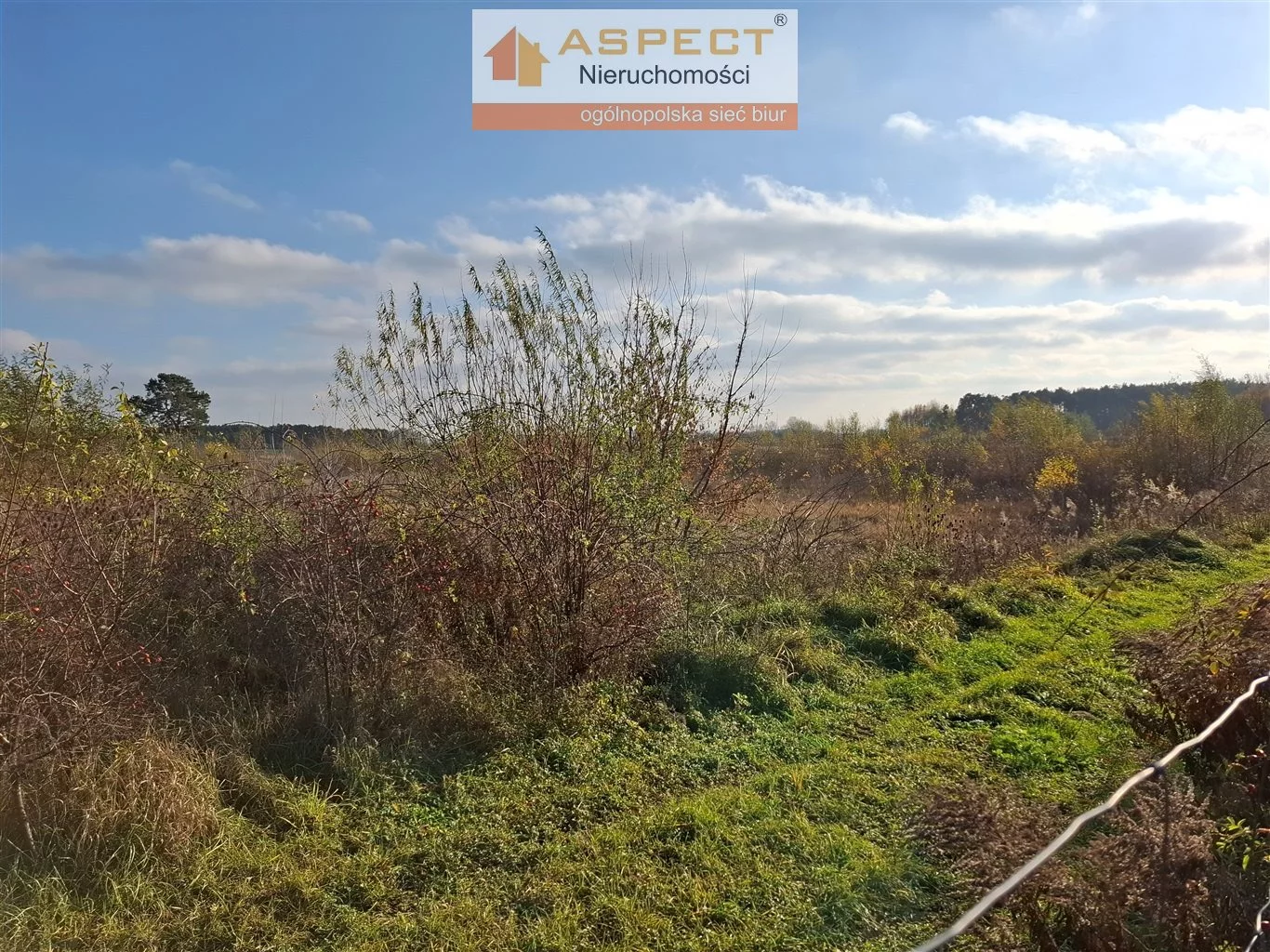 Działka 125 500,00 m², oferta nr , ASK-GS-49733, Krzyżanów