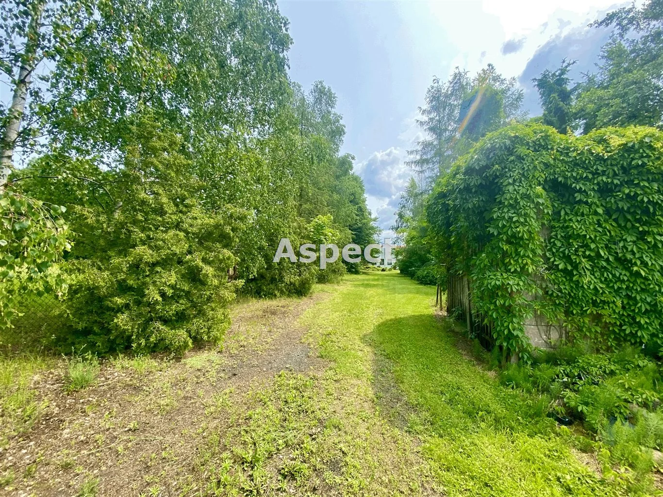 ASK-GS-50737 - zdjęcie nr 1