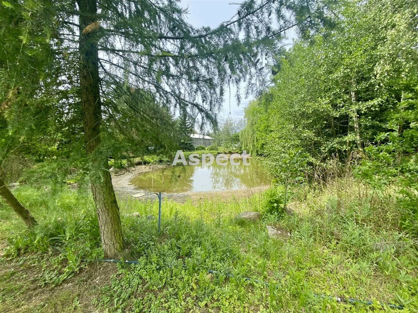 ASK-GS-50737 - zdjęcie nr 2