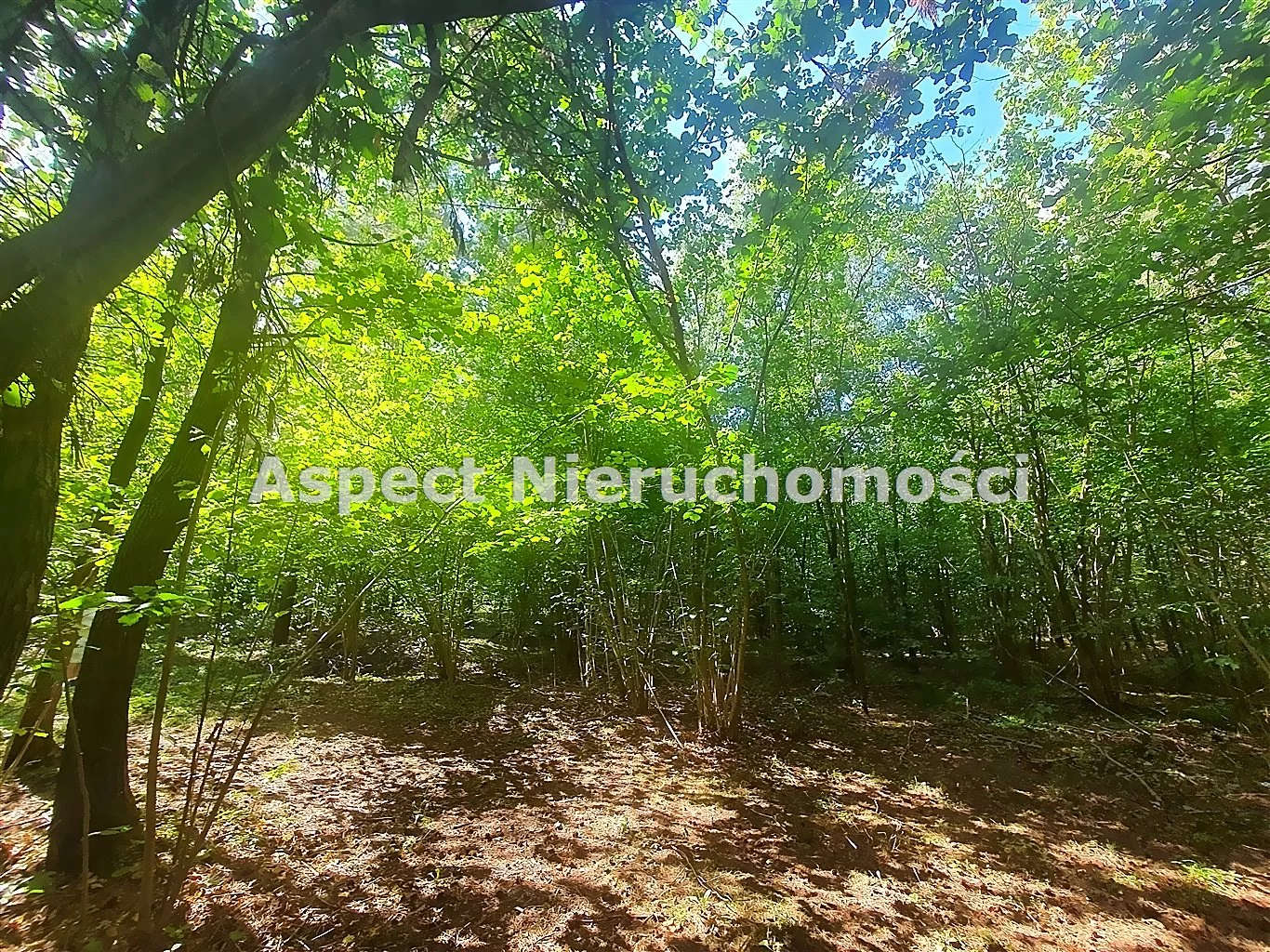 Działka 2 080,00 m², oferta nr , ASM-GS-51170, Łapy