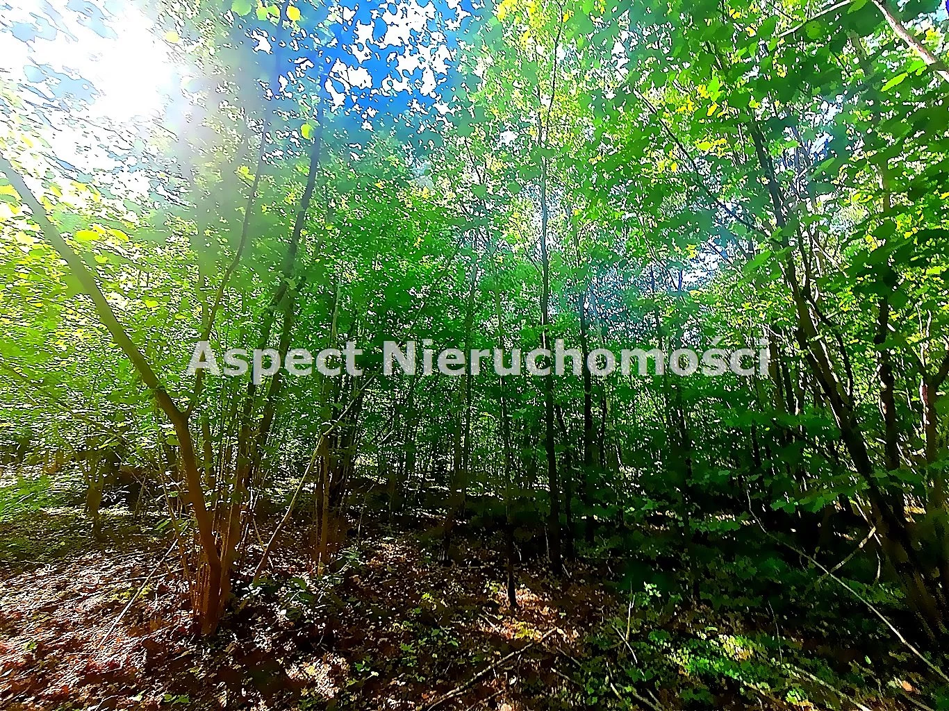 Działka 2 080,00 m², oferta nr , ASM-GS-51170, Łapy
