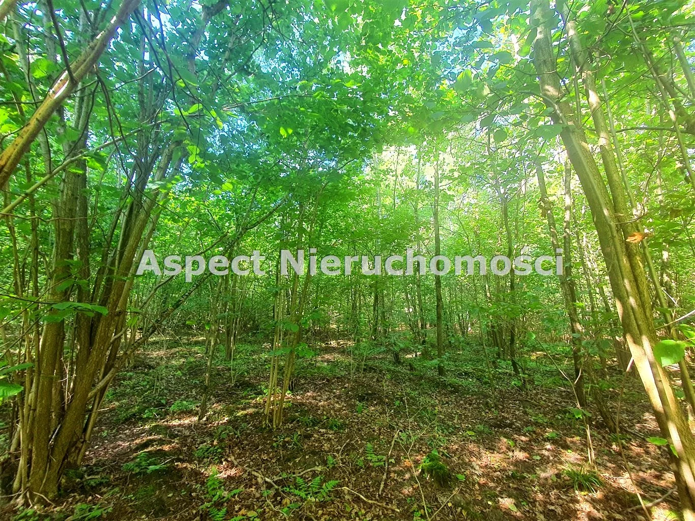 Działka 2 080,00 m², oferta nr , ASM-GS-51170, Łapy