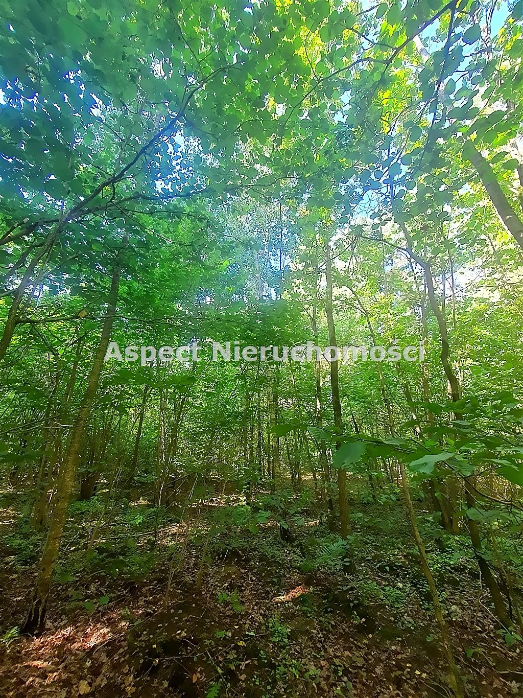 Działka 2 080,00 m², oferta nr , ASM-GS-51170, Łapy