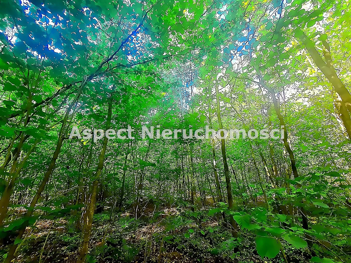 Działka 2 080,00 m², oferta nr , ASM-GS-51170, Łapy
