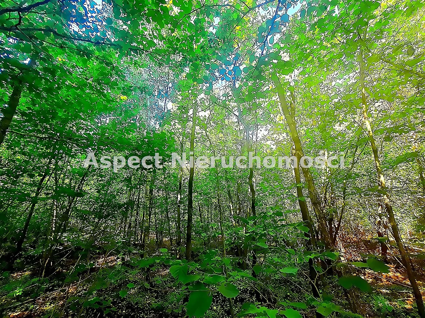 Działka 2 080,00 m², oferta nr , ASM-GS-51170, Łapy