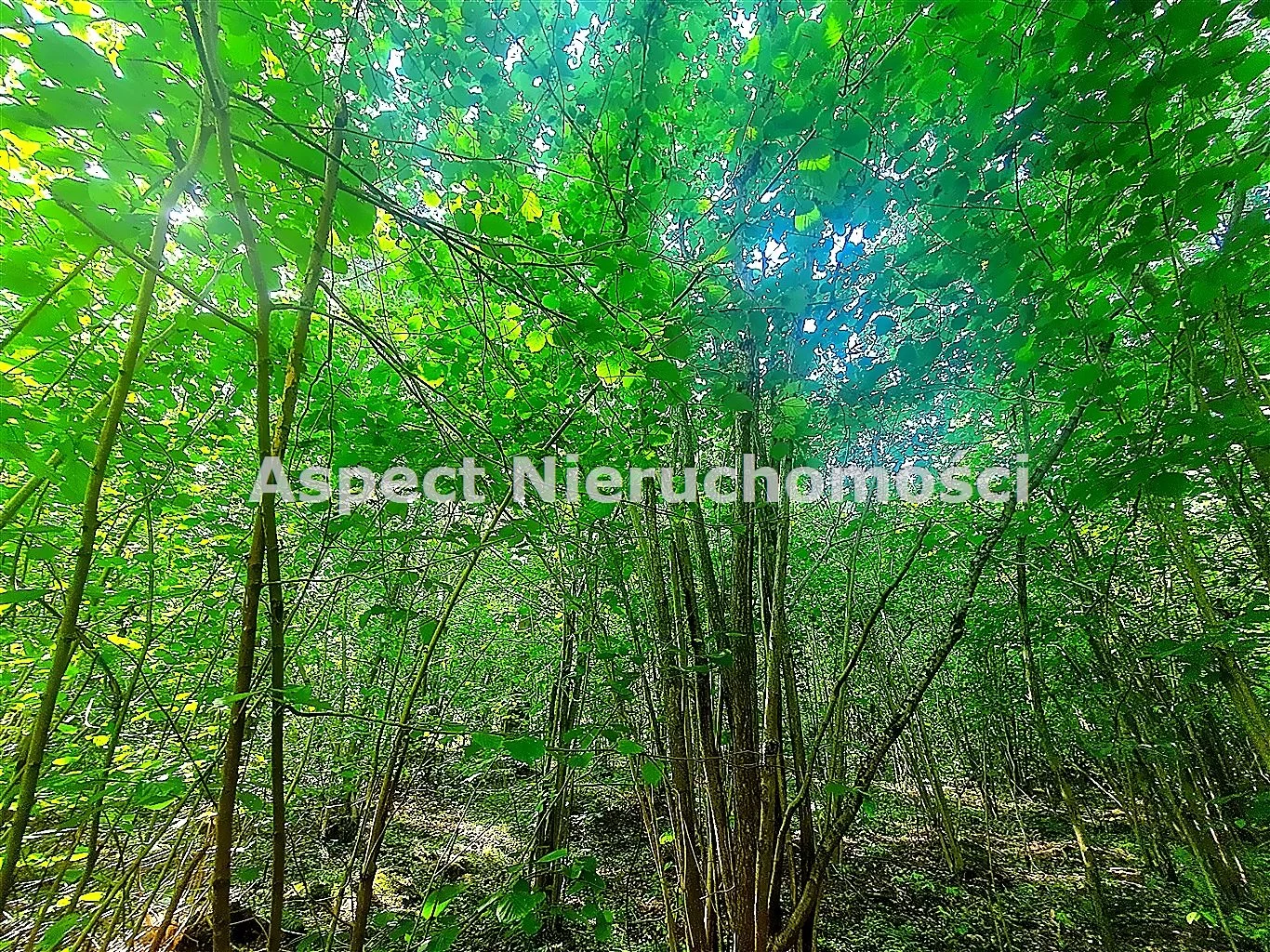 Działka 2 080,00 m², oferta nr , ASM-GS-51170, Łapy