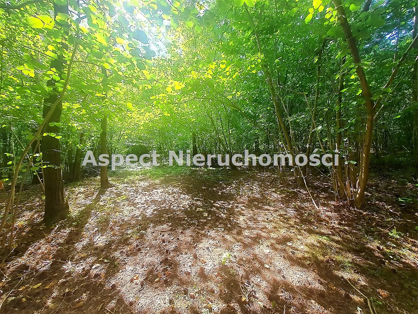 Działka 2 080,00 m², oferta nr , ASM-GS-51170, Łapy