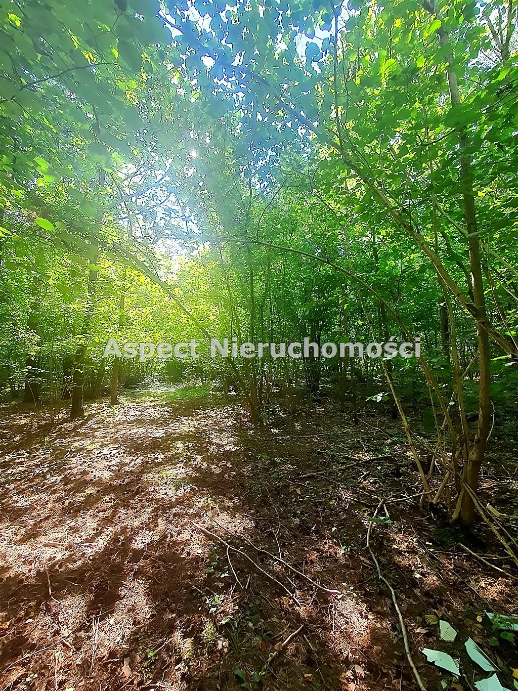 Działka 2 080,00 m², oferta nr , ASM-GS-51170, Łapy