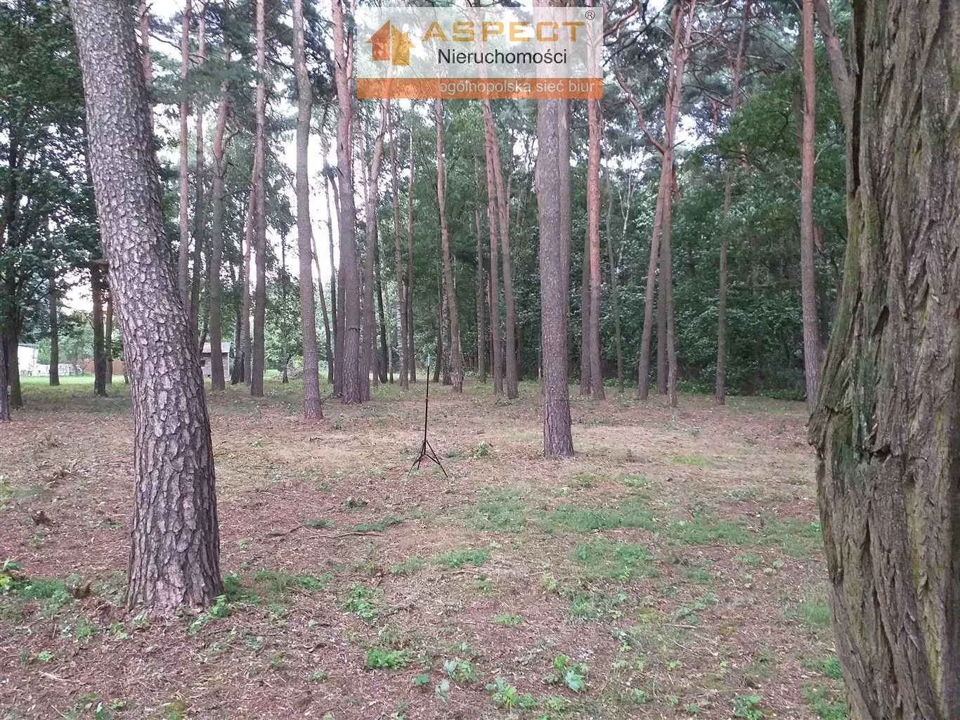 Działka 3 975,00 m², oferta nr , ANO-GS-41307, Łódź, Bałuty, Bałuty
