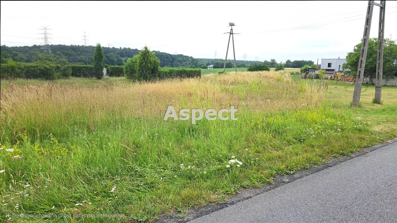 AP1-GS-50887 - zdjęcie nr 0