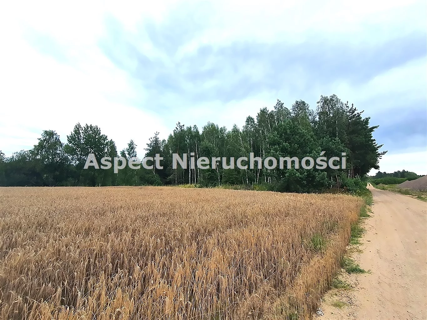 ASM-GS-50963 - zdjęcie nr 1