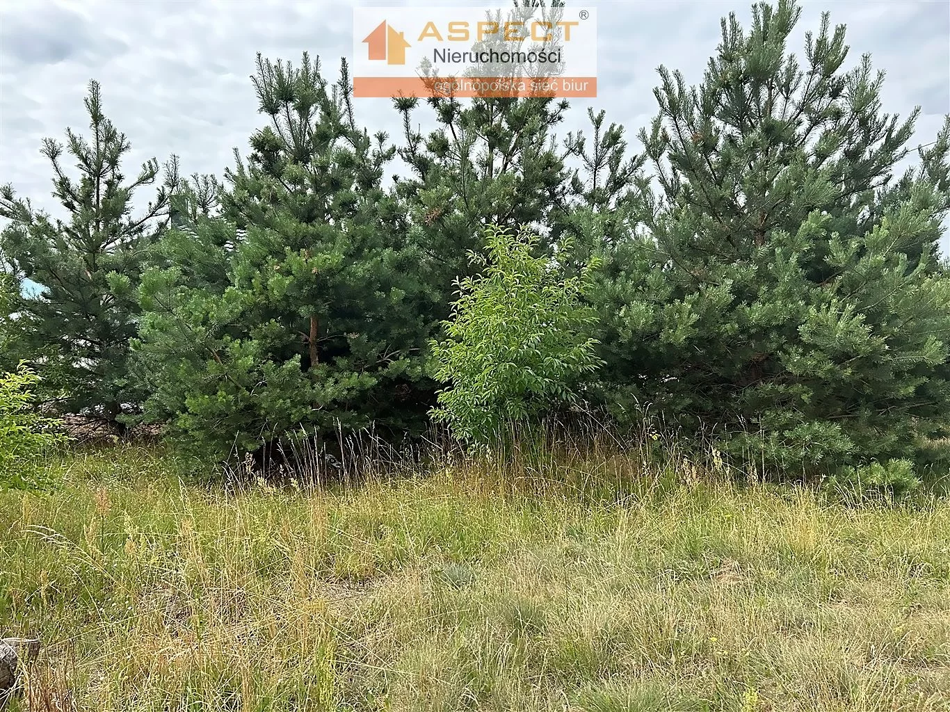 Działka 1 090,00 m², oferta nr , ASM-GS-48982, Wyszki, Nowa