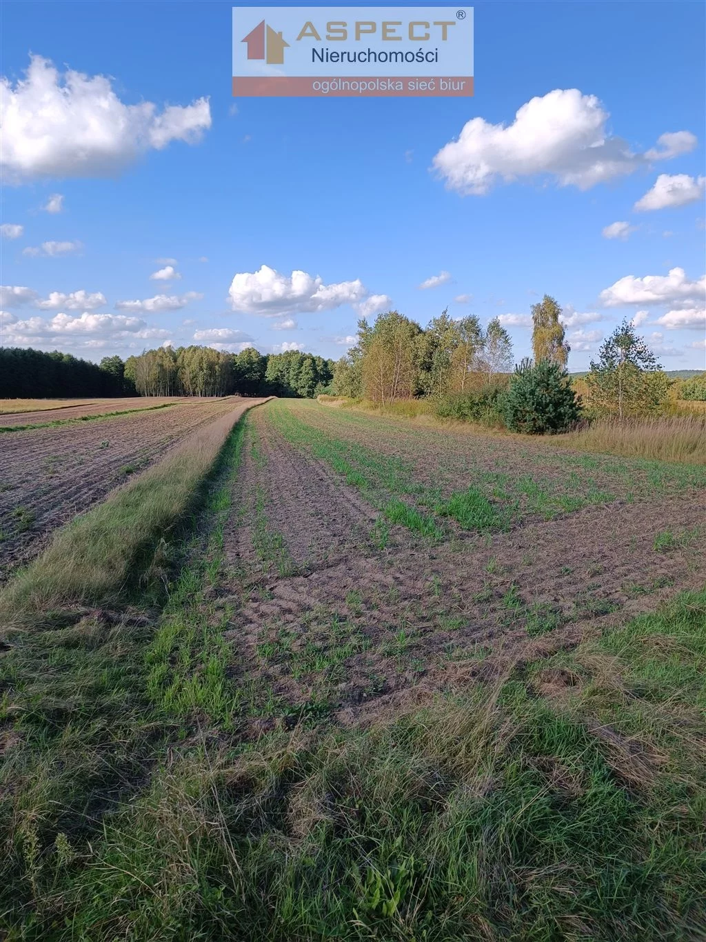 Działka 4 600,00 m², Nowe Brusno, Sprzedaż