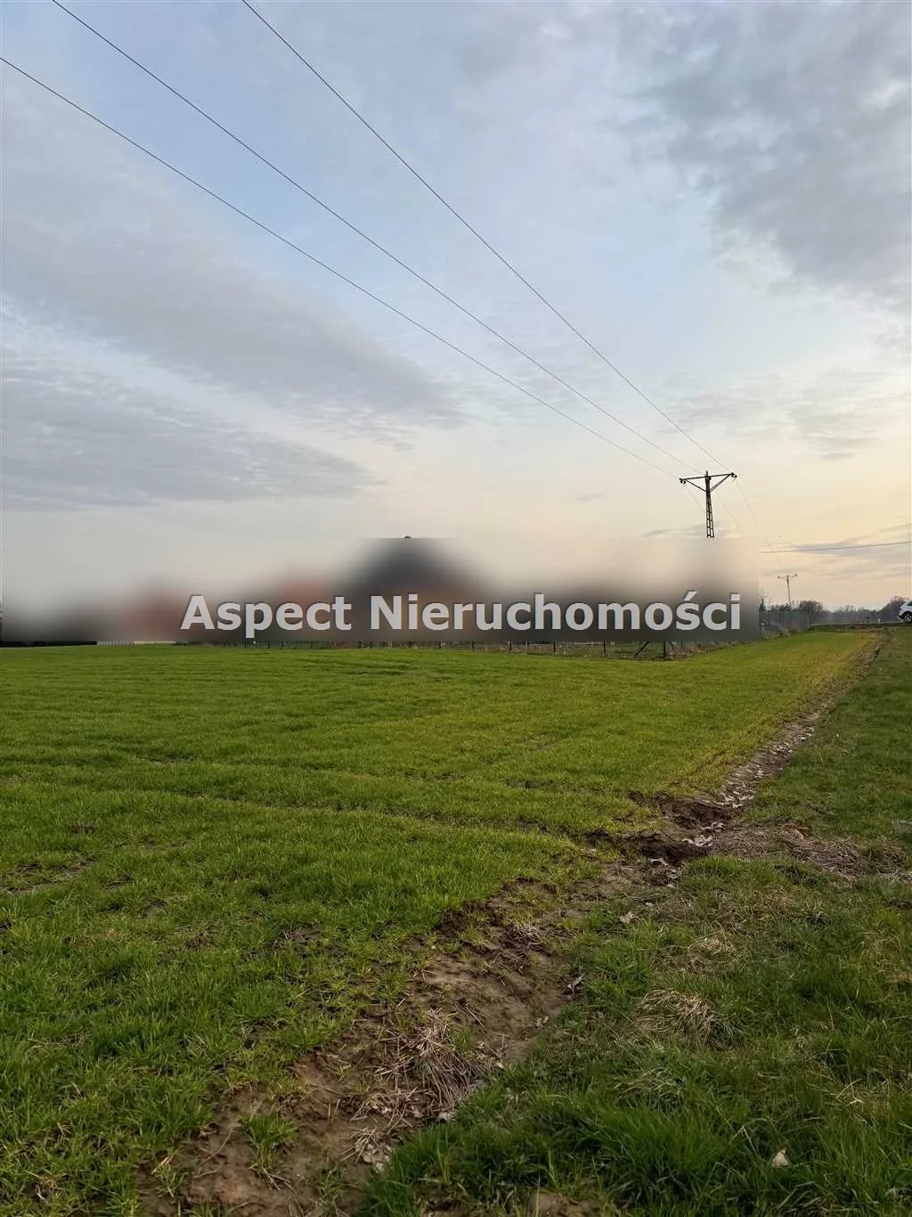 Działka 4 362,00 m², oferta nr , ASJ-GS-48261, Pawłowice