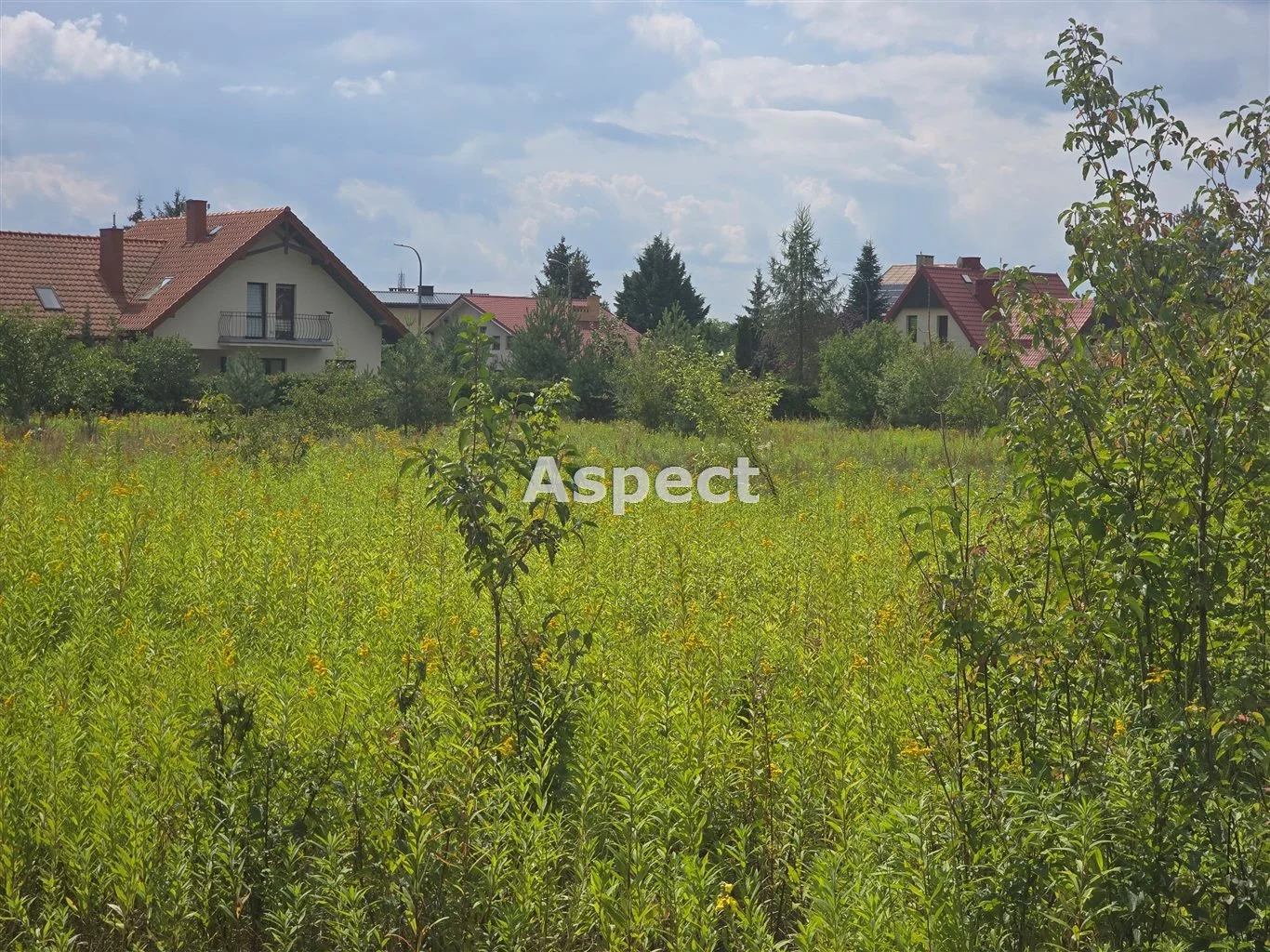APO-GS-50843 - zdjęcie nr 0