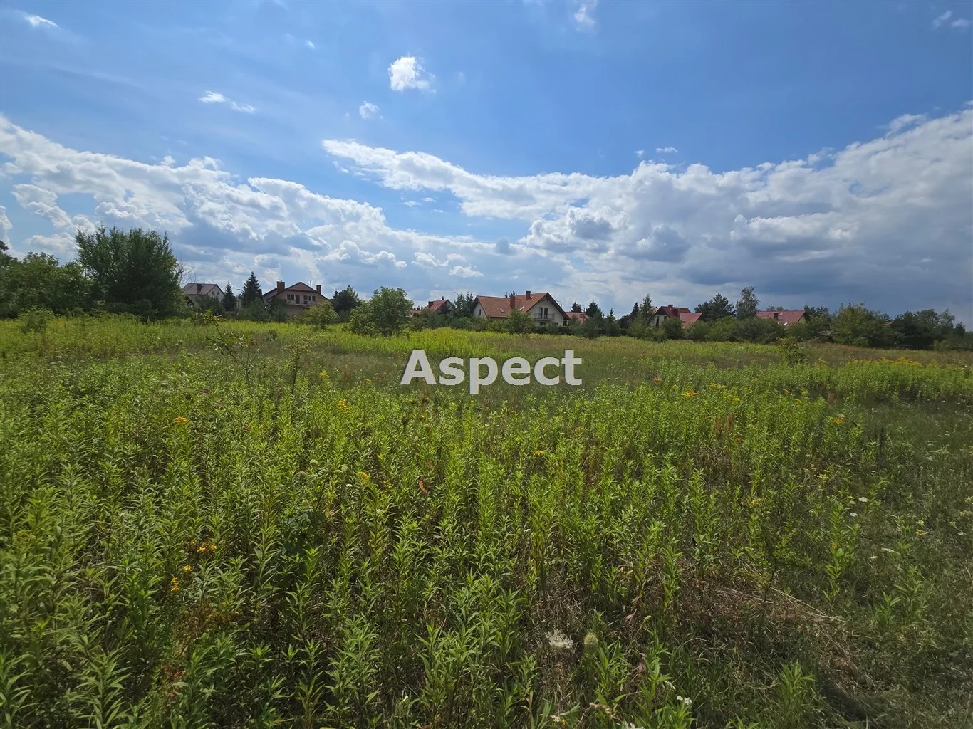 APO-GS-50843 - zdjęcie nr 2