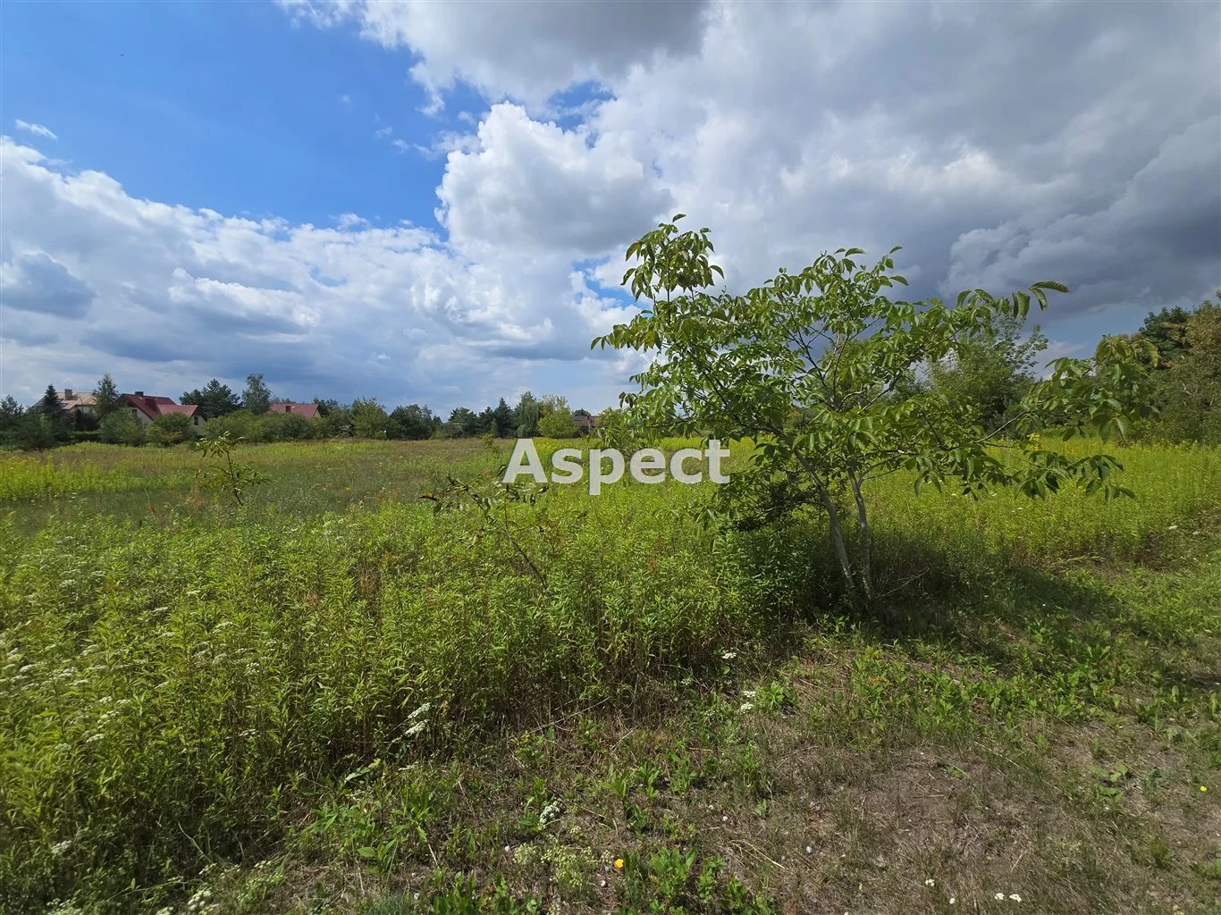 APO-GS-50843 - zdjęcie nr 3