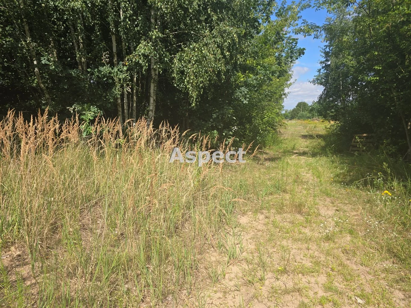 APO-GS-50861 - zdjęcie nr 3