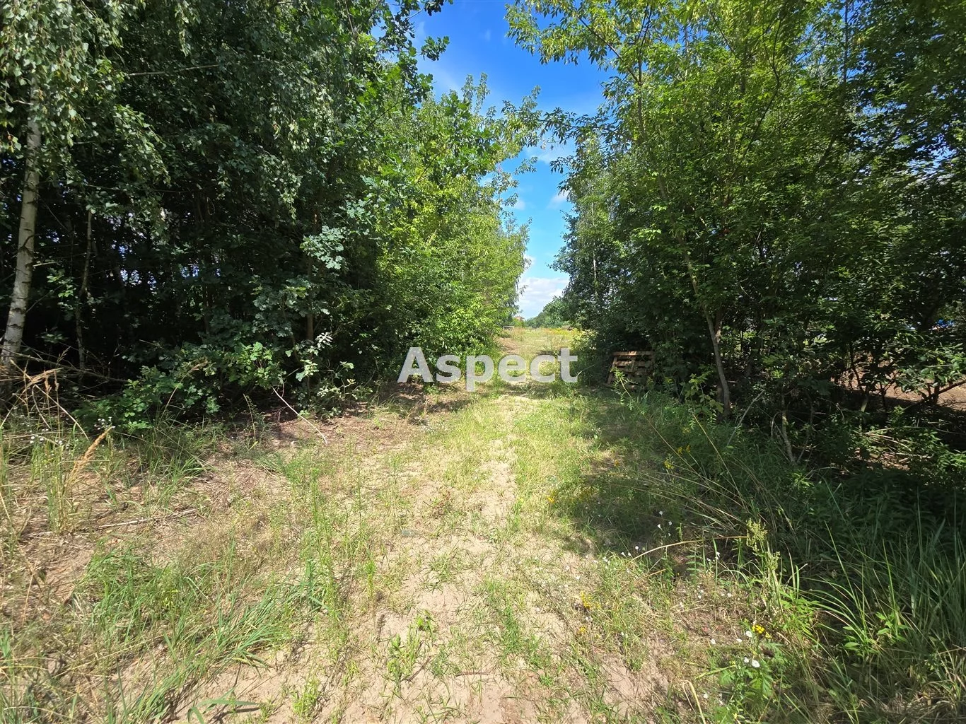 APO-GS-50861 - zdjęcie nr 4