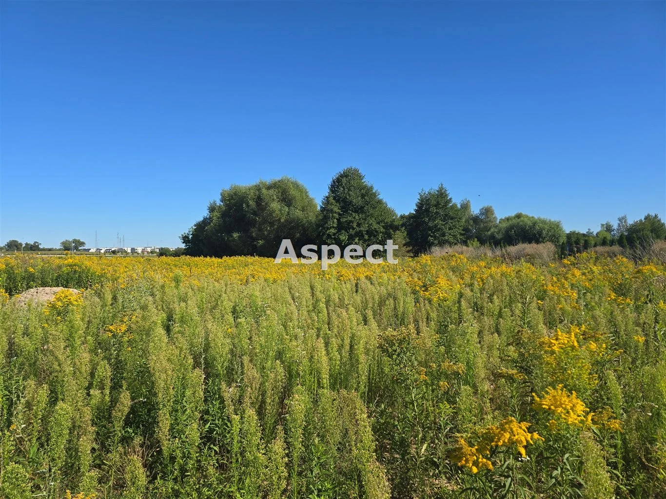 Działka 609,00 m², oferta nr , APO-GS-50841, Płock, Podolszyce