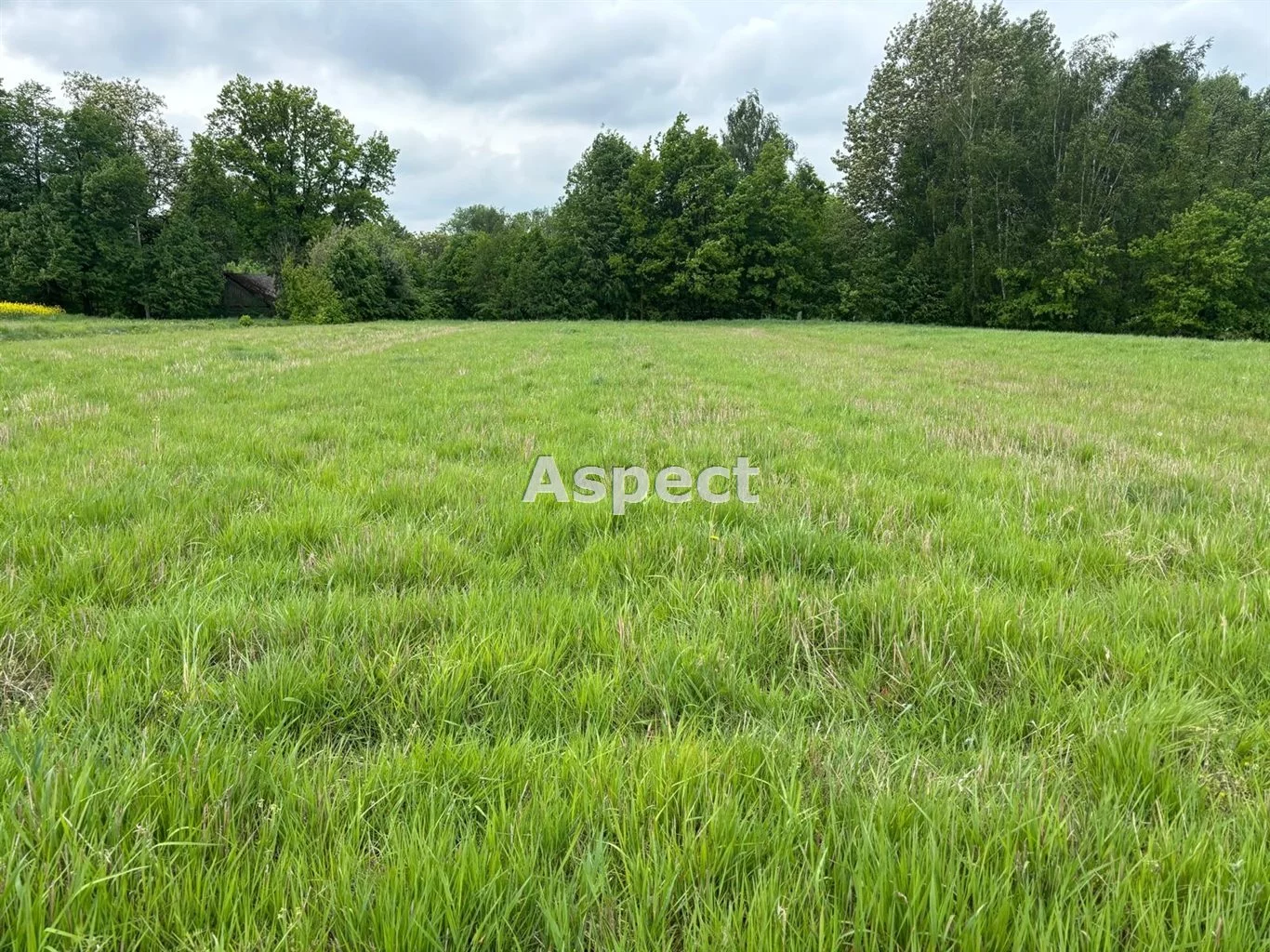 ASJ-GS-50577 - zdjęcie nr 0