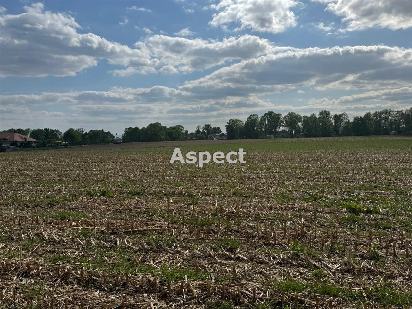 Działka 9 616,00 m², oferta nr , ASJ-GS-50583, Pszczyna