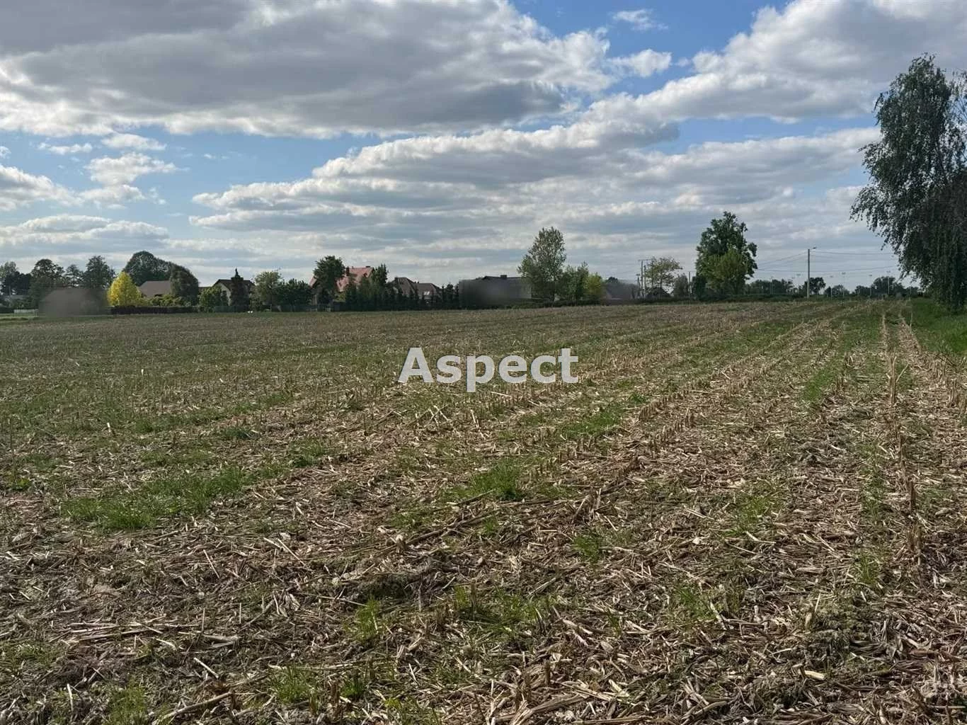Działka 9 616,00 m², oferta nr , ASJ-GS-50583, Pszczyna
