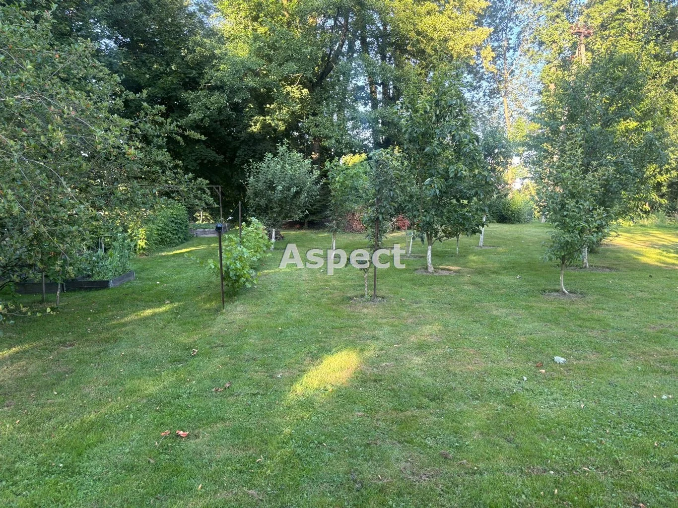 Działka 800,00 m², oferta nr , ASJ-GS-50822, Pszczyna
