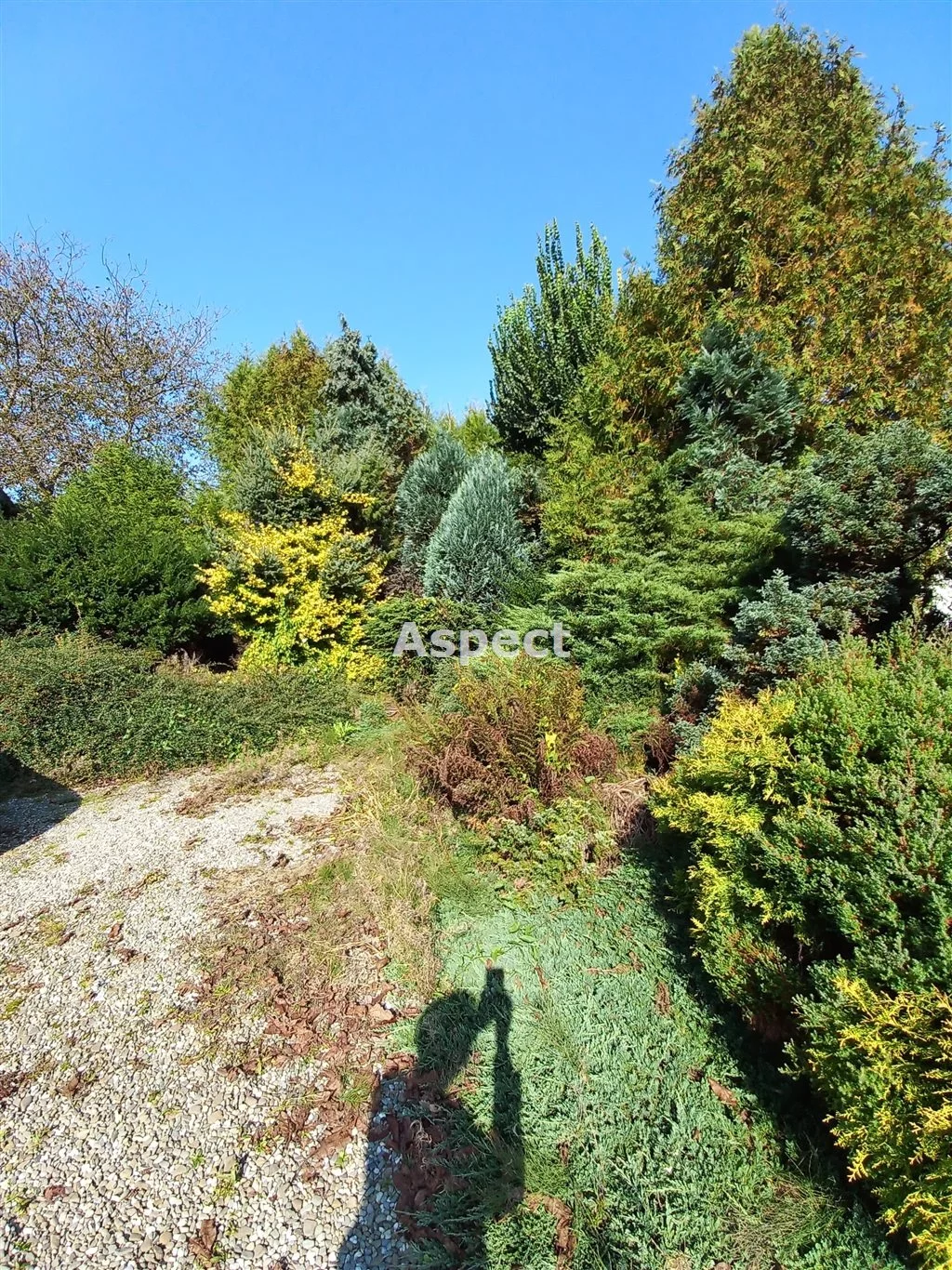 Działka 4 580,00 m², oferta nr , ASP-GS-51256, Pszczyna