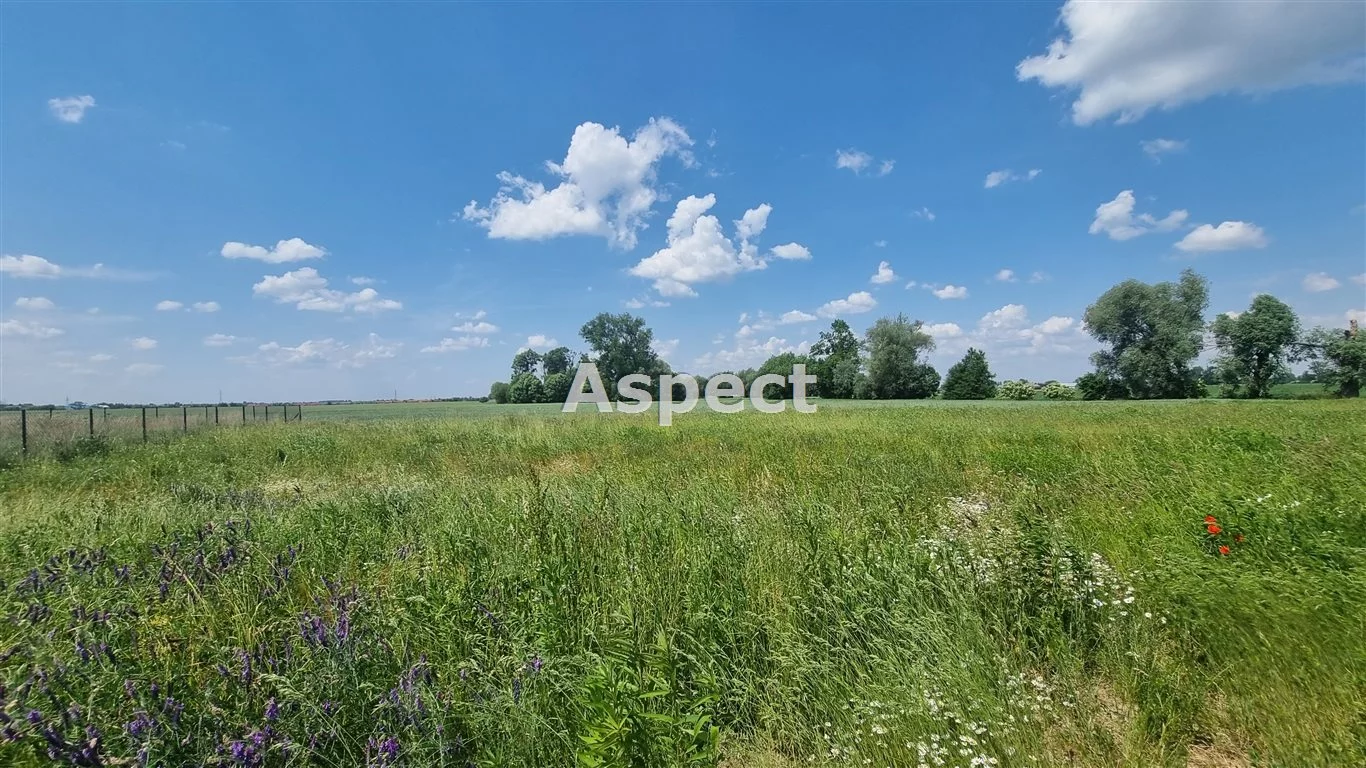 Apartamenty APO-GS-50845 Radzanowo