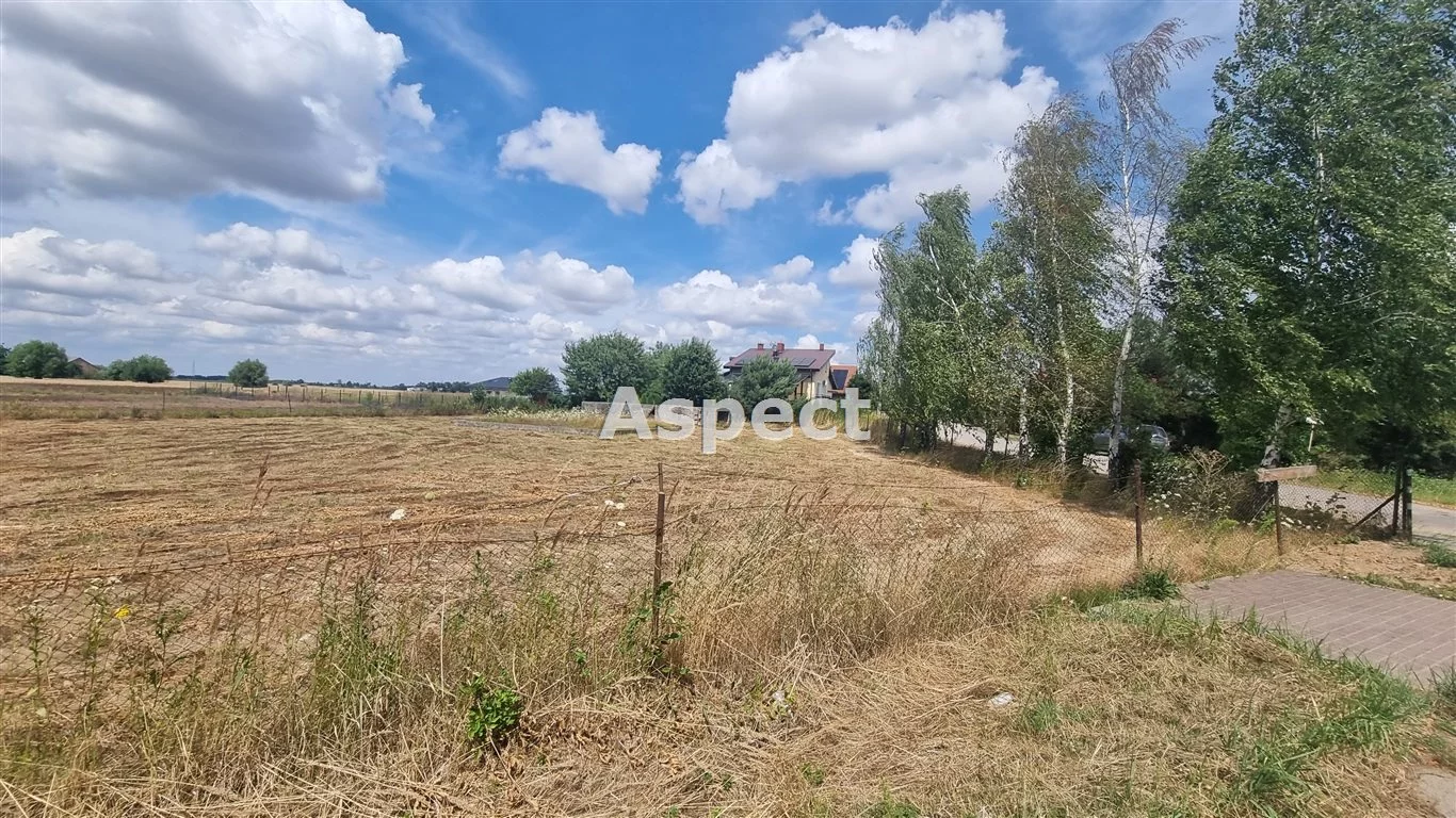 APO-GS-50838 - zdjęcie nr 4