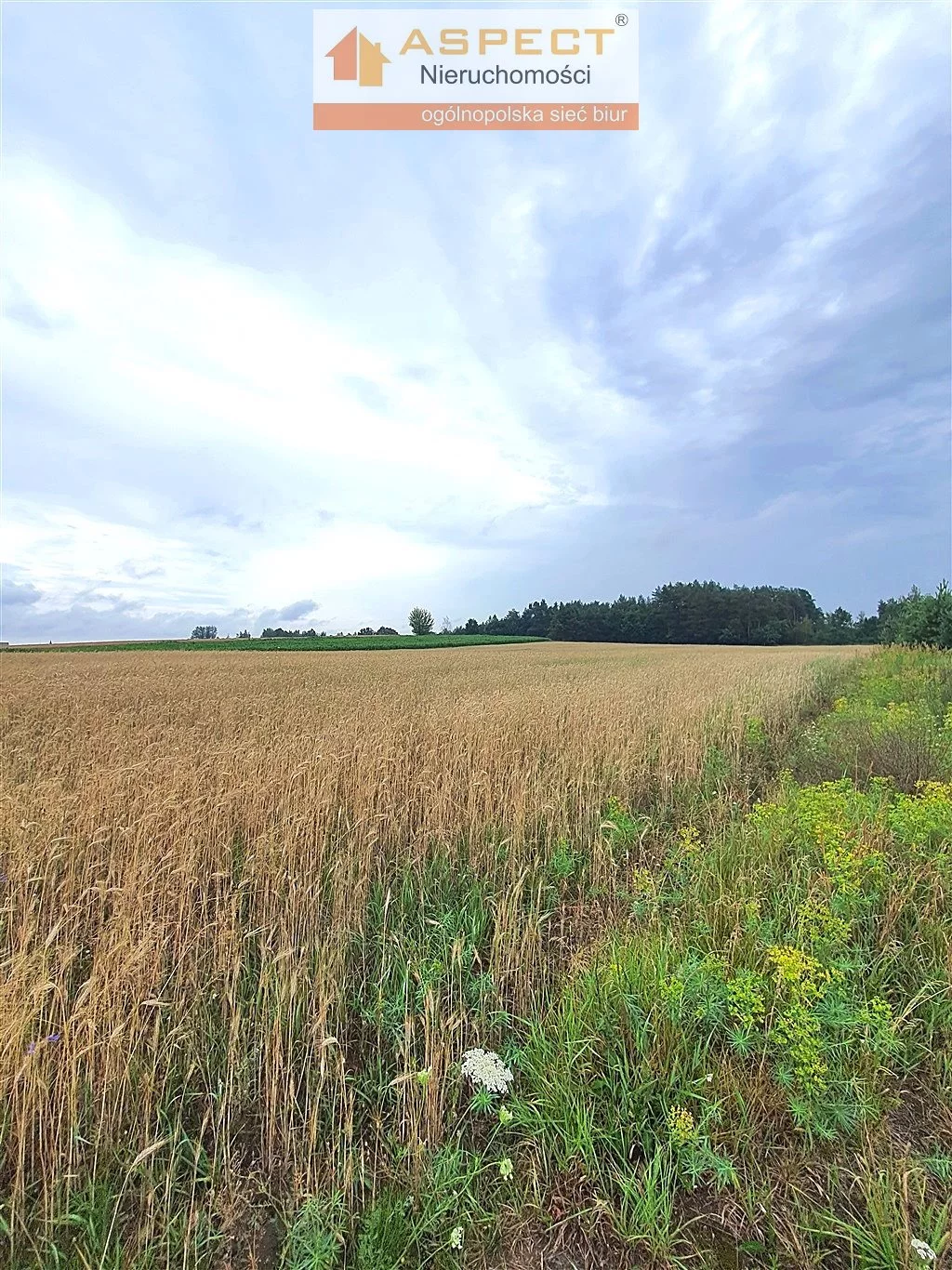 Działka 19 815,00 m², Rutki, Sprzedaż