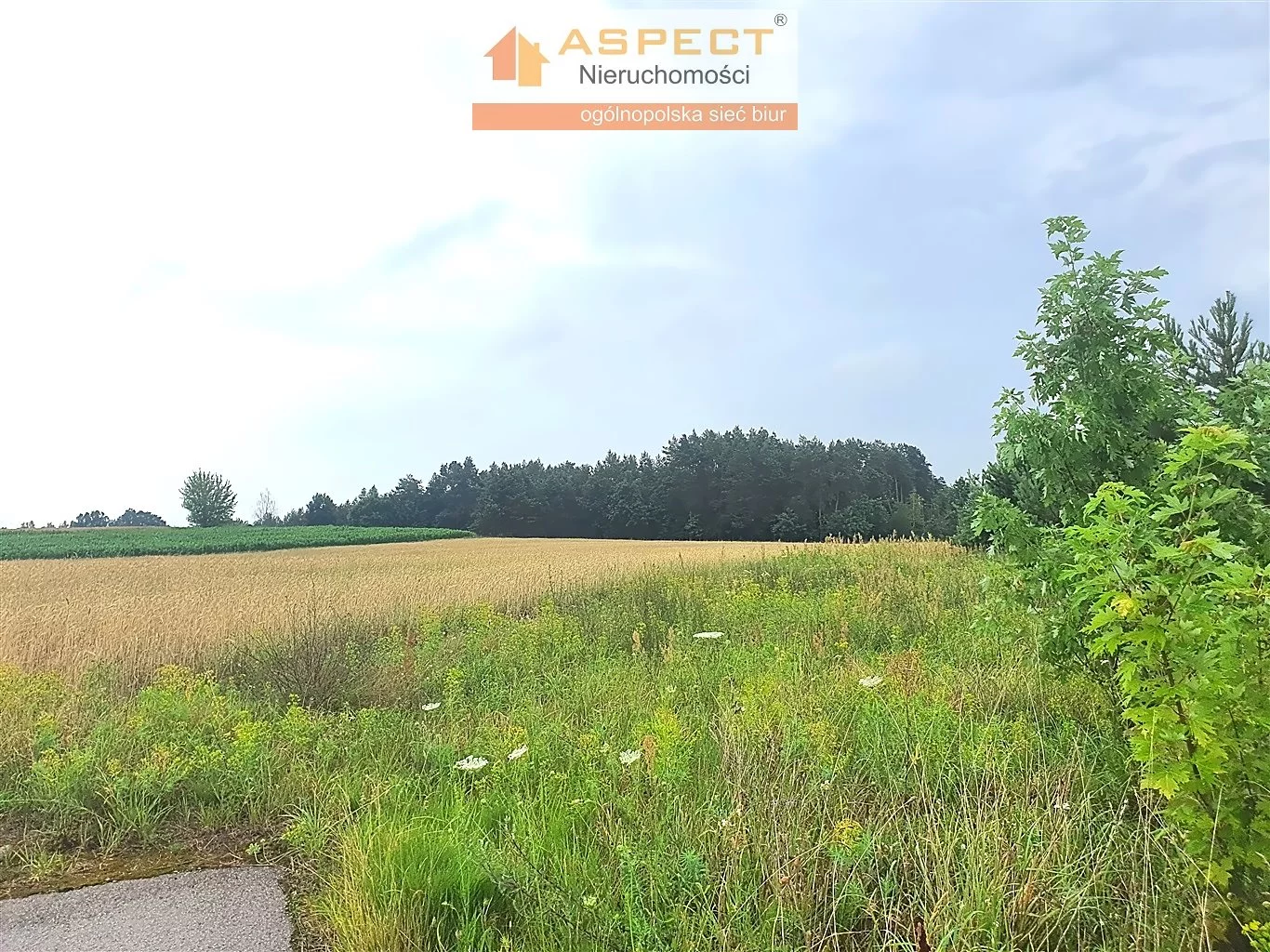Działka 19 815,00 m², oferta nr , ASM-GS-47501, Rutki