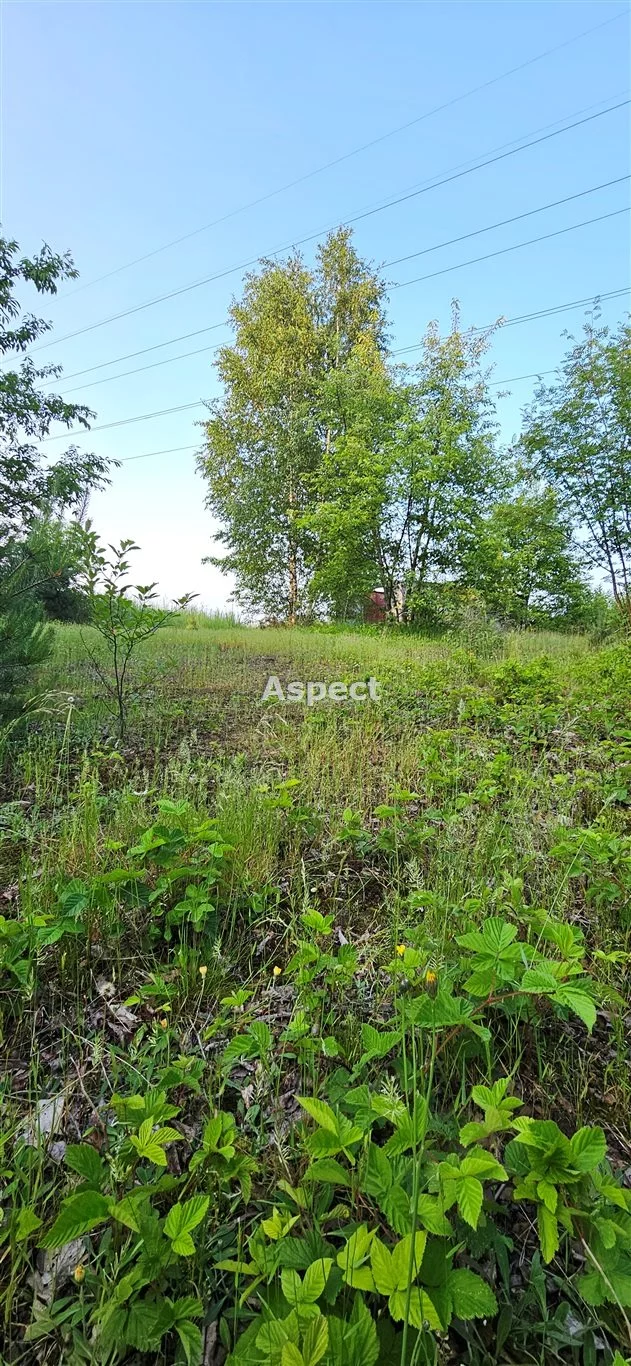 AP1-GS-50727 - zdjęcie nr 0