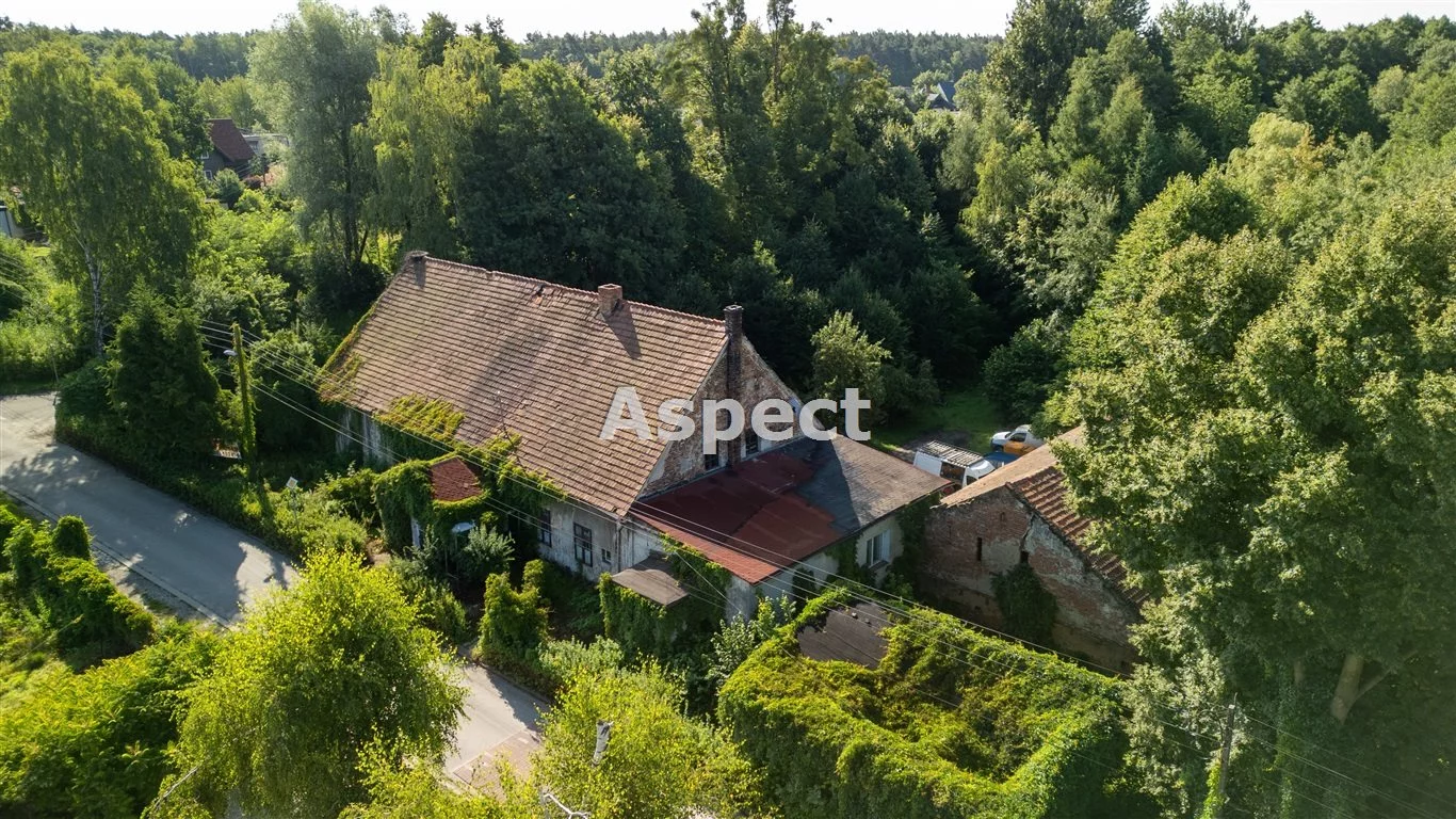 AP1-GS-50951 - zdjęcie nr 0