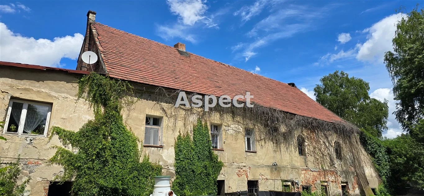 AP1-GS-50951 - zdjęcie nr 3