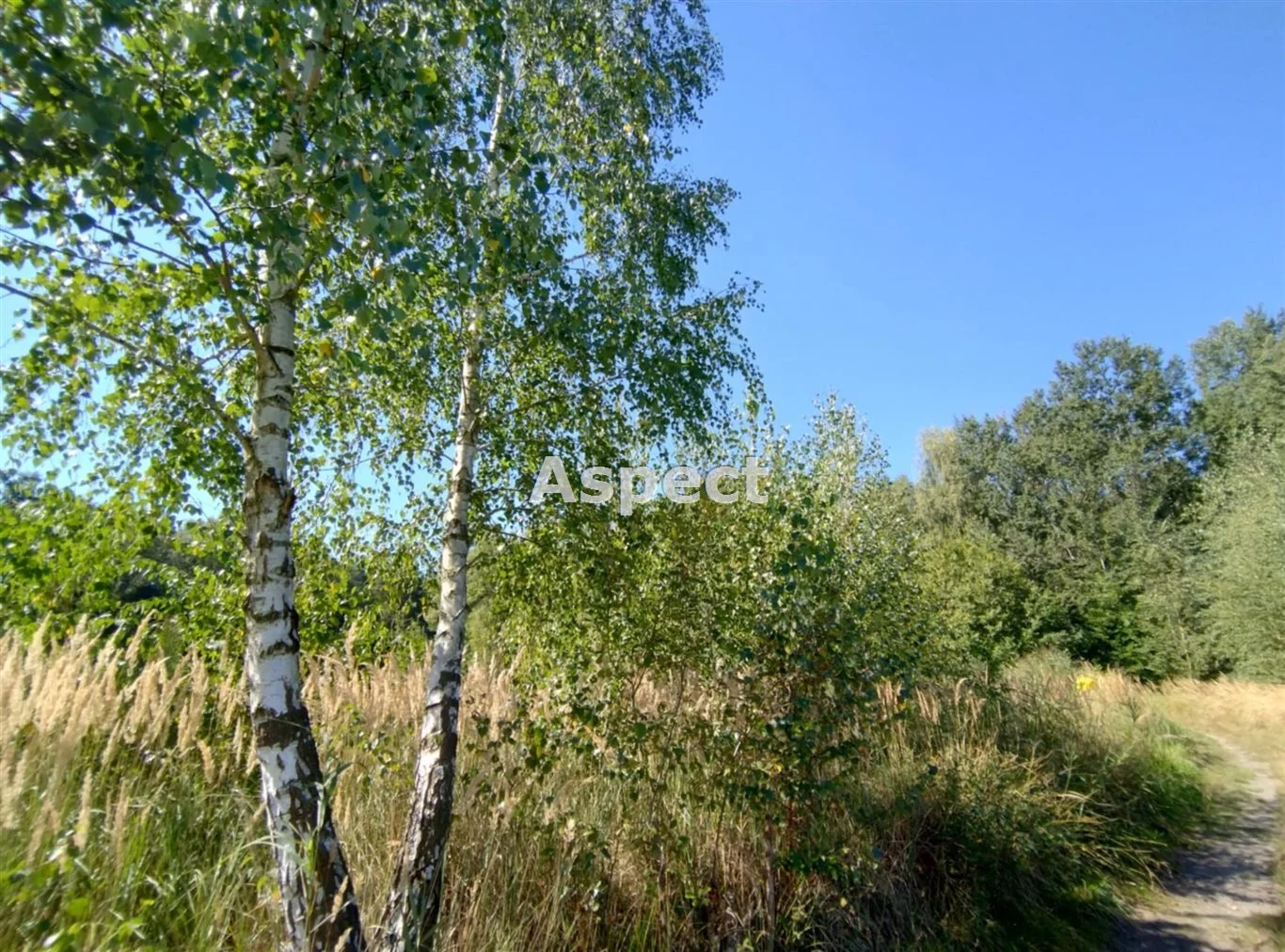 Apartamenty ASJ-GS-51088 Rybnik