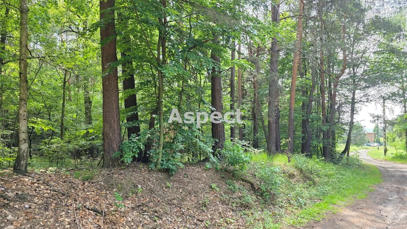 AP1-GS-50738 - zdjęcie nr 5