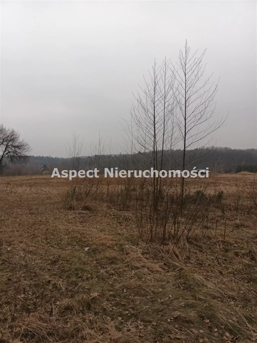 Działka 800,00 m², oferta nr , ASJ-GS-50223, Rybnik, Popielów, Popielów