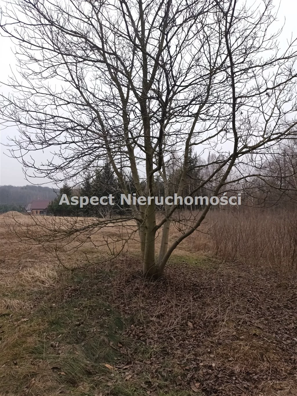 Działka 801,00 m², oferta nr , ASJ-GS-50228, Rybnik, Popielów, Popielów