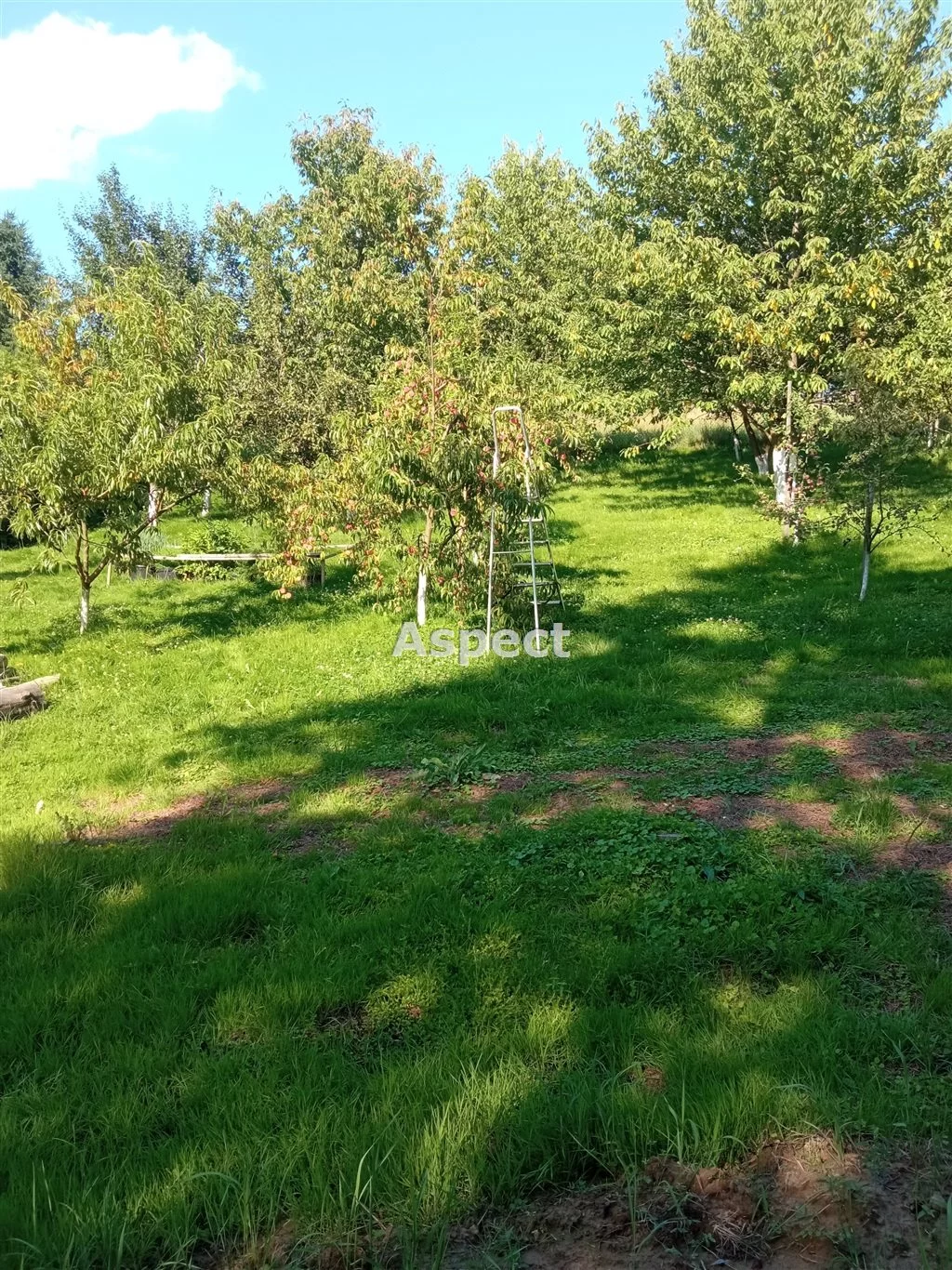 ASR-GS-51012 - zdjęcie nr 4
