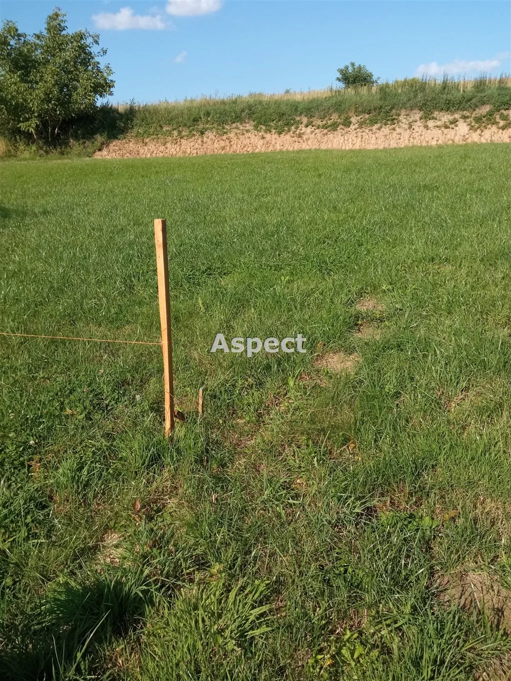 ASR-GS-51017 - zdjęcie nr 0