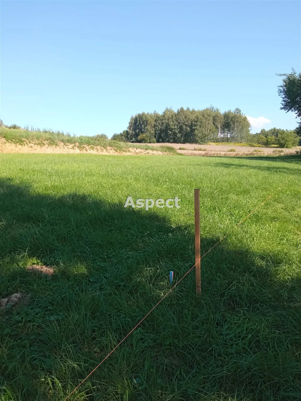 ASR-GS-51017 - zdjęcie nr 2